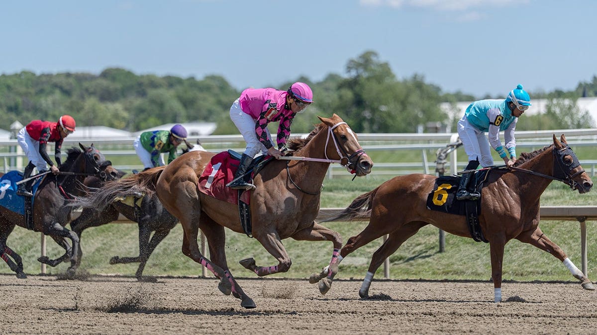 Jockeys racing horses connected  a ungraded  way   astatine  Laurel Park