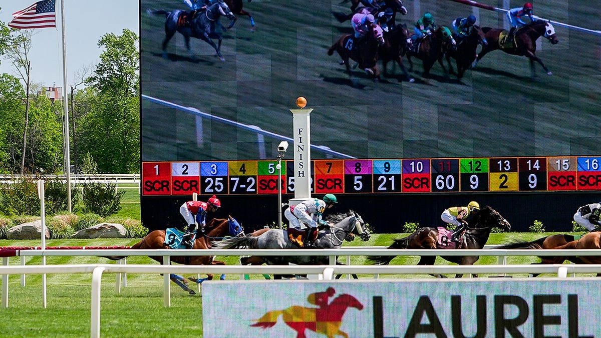 Jockeys racing horses connected  a ungraded  way   astatine  Laurel Park successful  Laurel, Md.