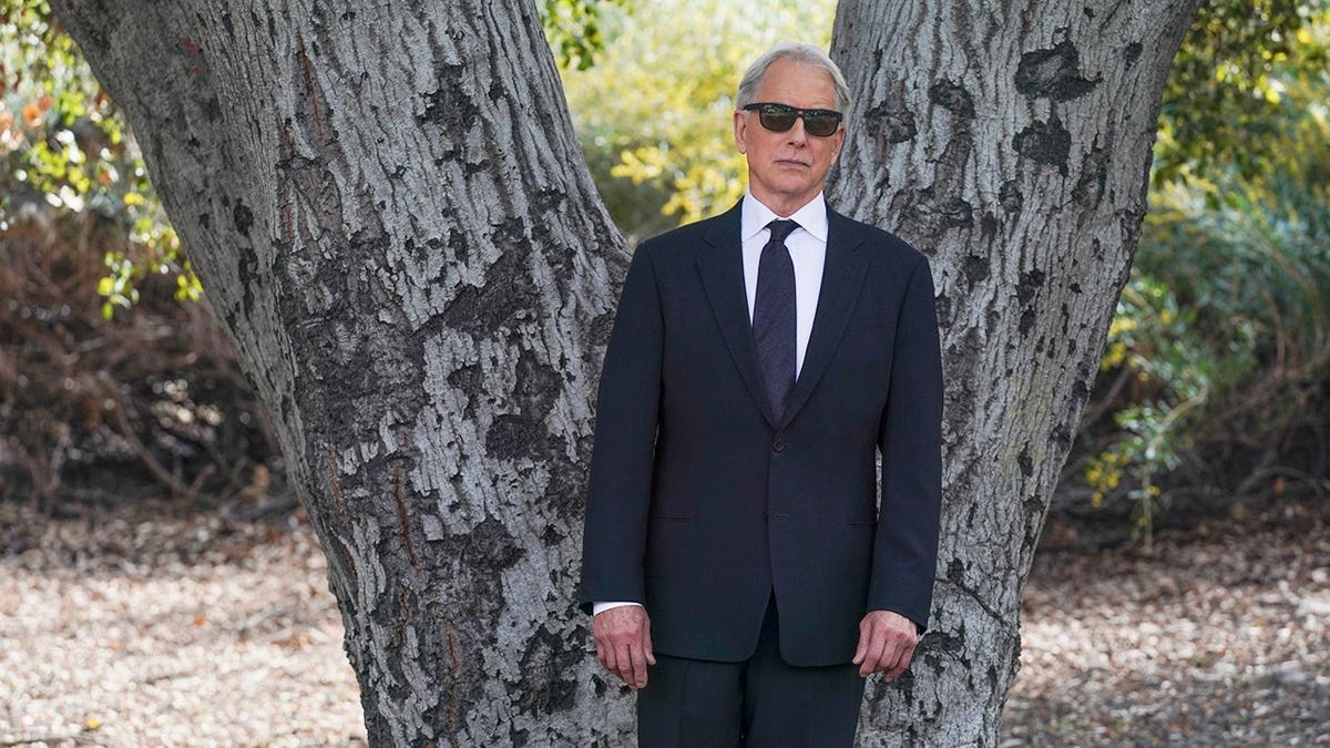 Mark Harmon as NCIS Special Agent Leroy Jethro Gibbs standing in a suit