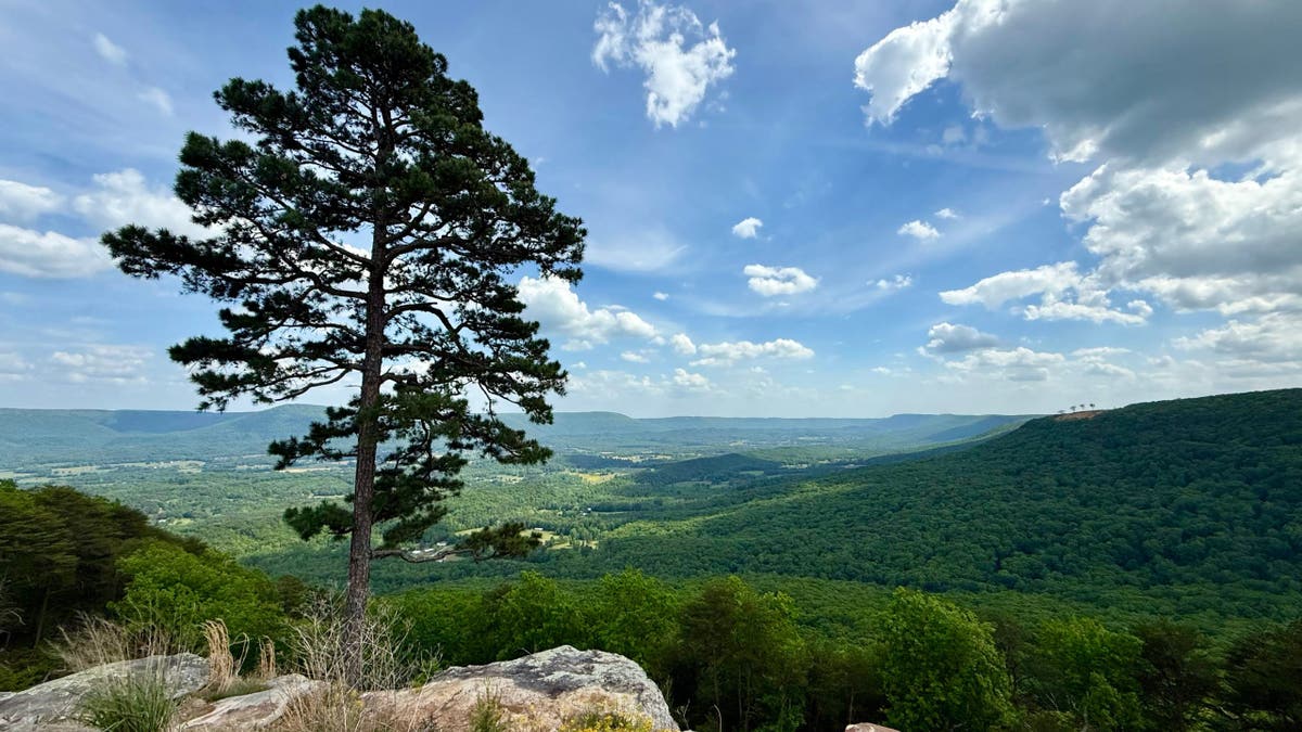 scenic overlook of lush green mountains, valley and a blue sky