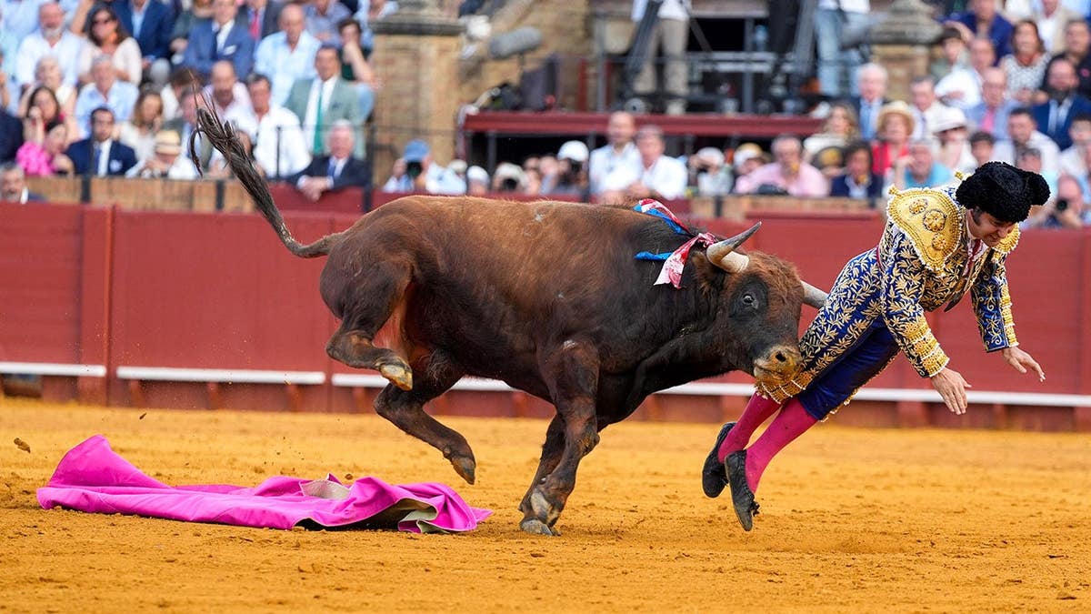 Morante de la Puebla performing in a bullfight in Seville, Spain