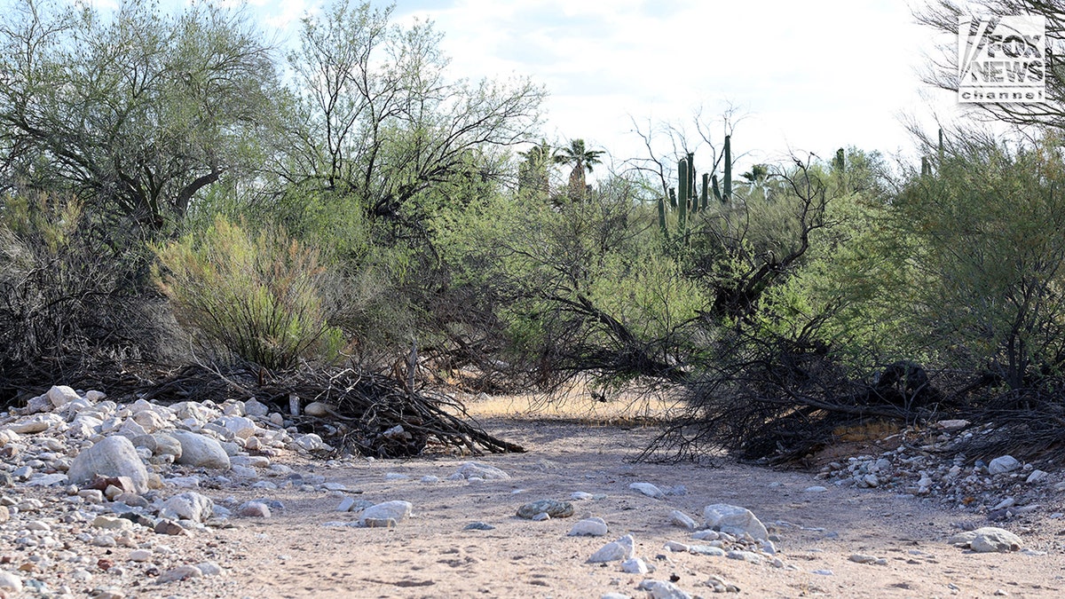 Bob Krygier searching a lavation  adjacent   Nancy Guthrie's location  successful  Tucson, Ariz.