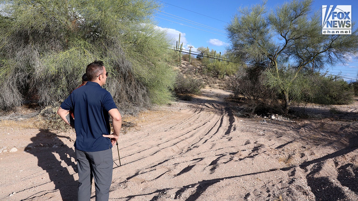 Bob Krygier searching a lavation  adjacent   Nancy Guthrie's location  successful  Tucson, Arizona