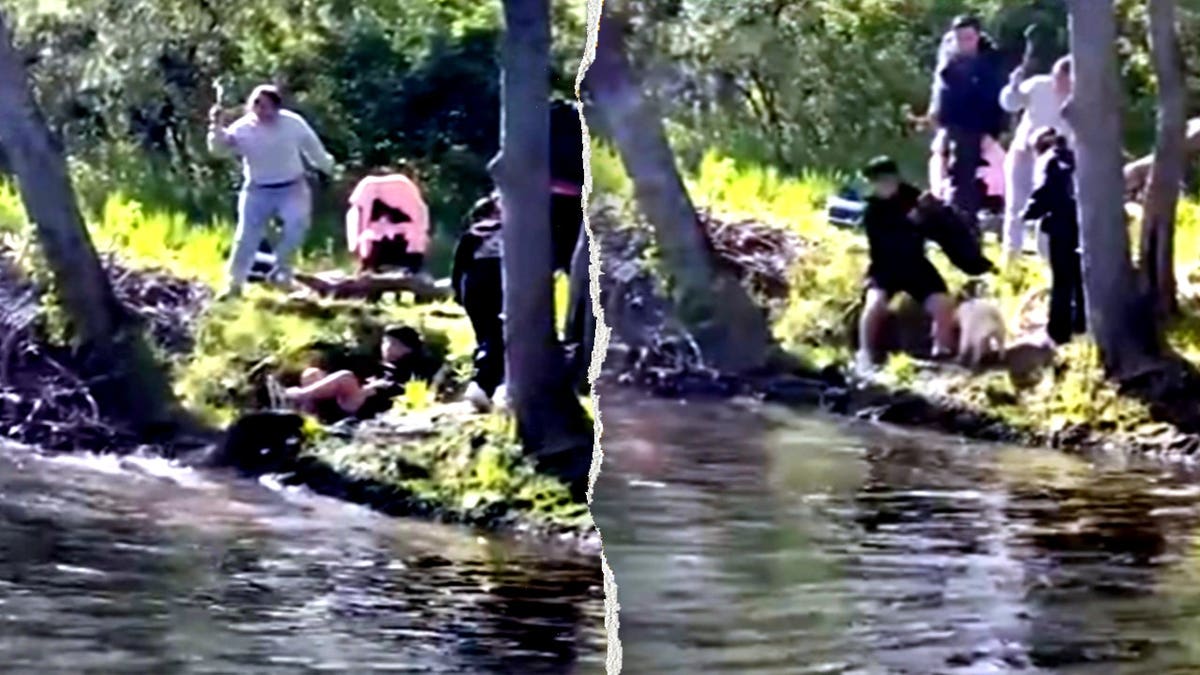 beaver attacking boy at lake