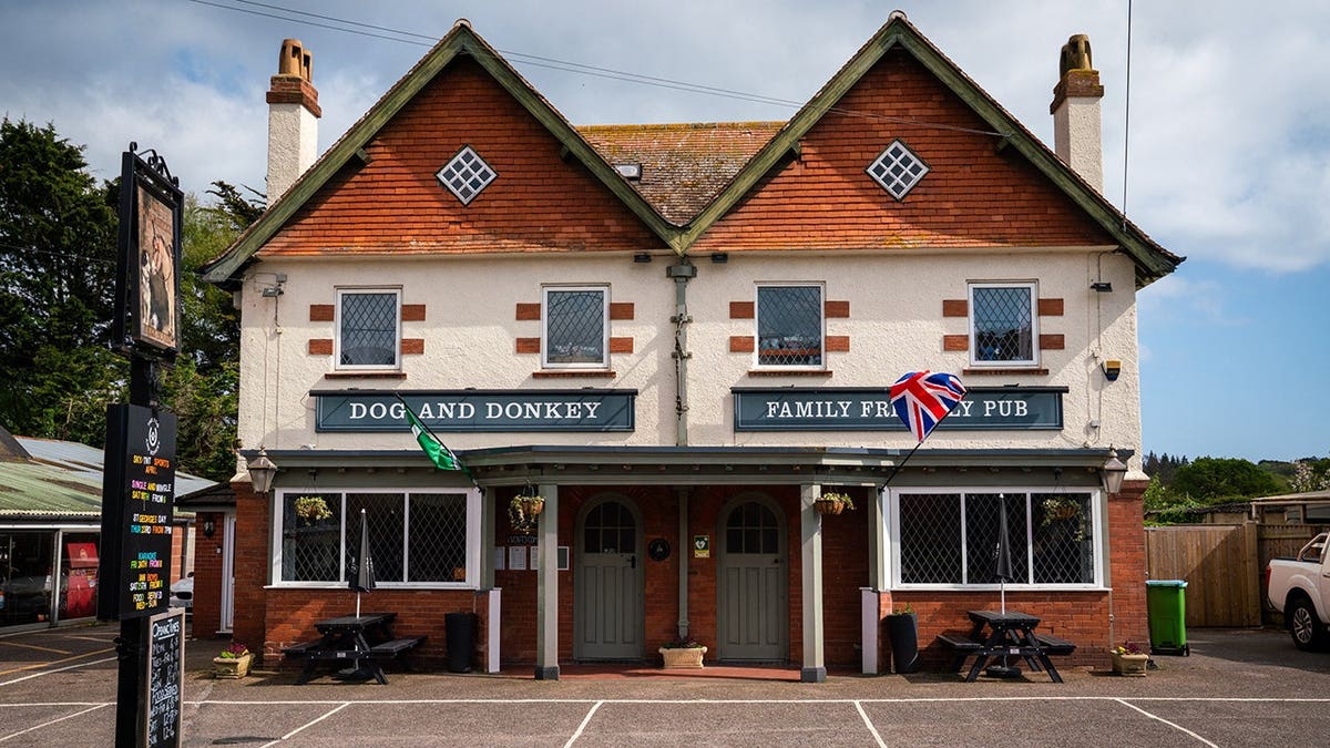 Pete Manfield standing inside The Dog and Donkey pub in Knowle, Devon