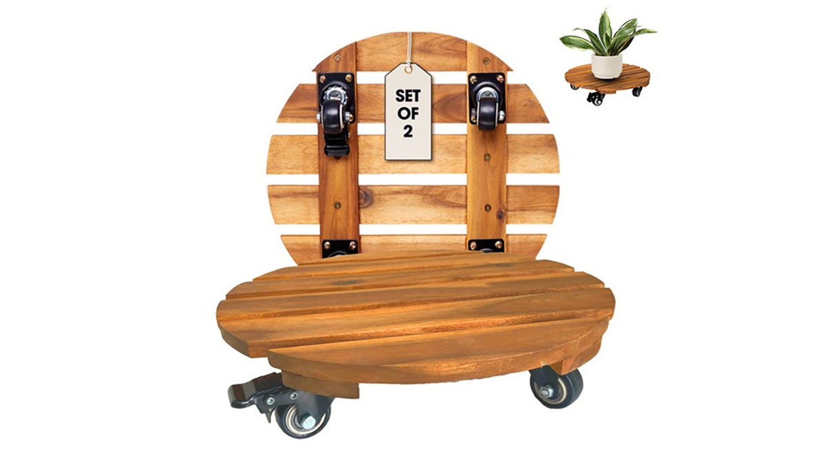 Roll large planters around the yard with a set of moveable plant stands.