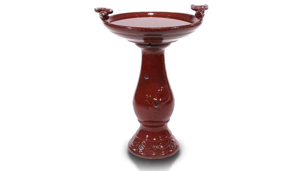 A bird feeder brings life to your garden.