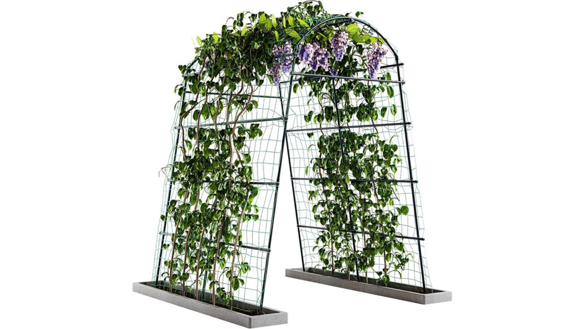 Easily put this trellis up with the included frame and clips.