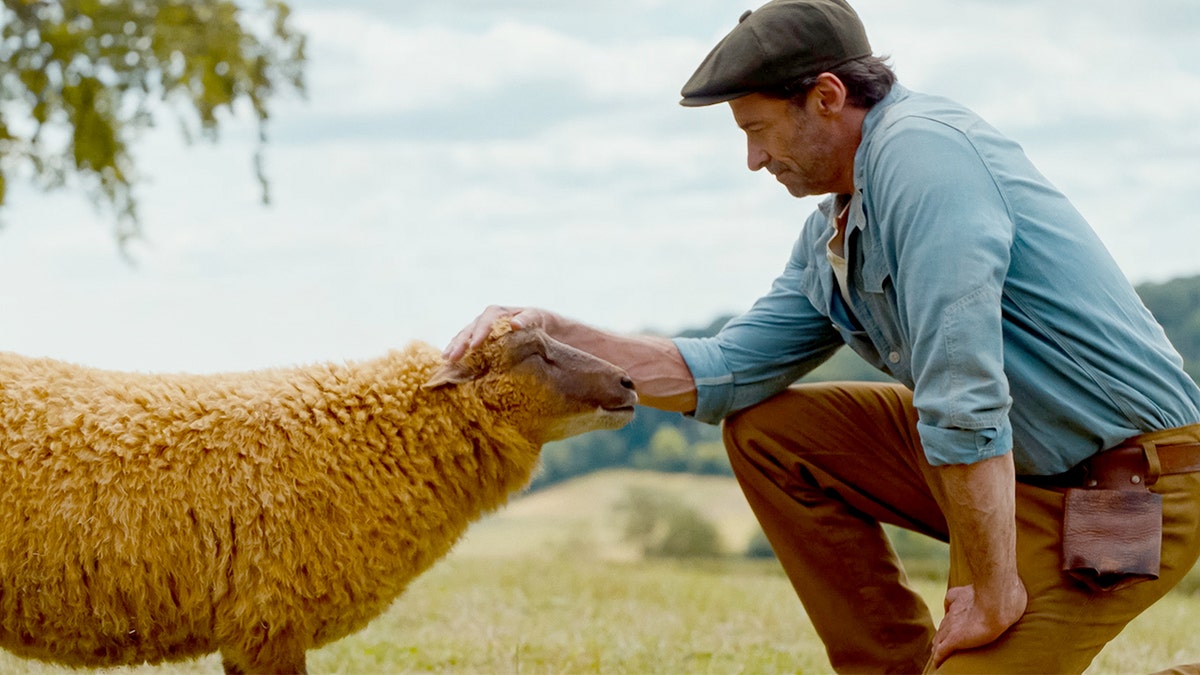 The Sheep Detectives still