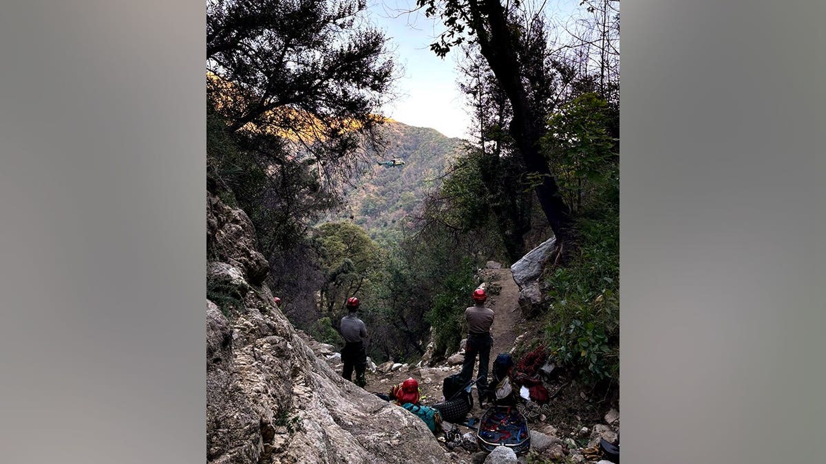 rescuers overlooking ravine on Mount Wilson trail