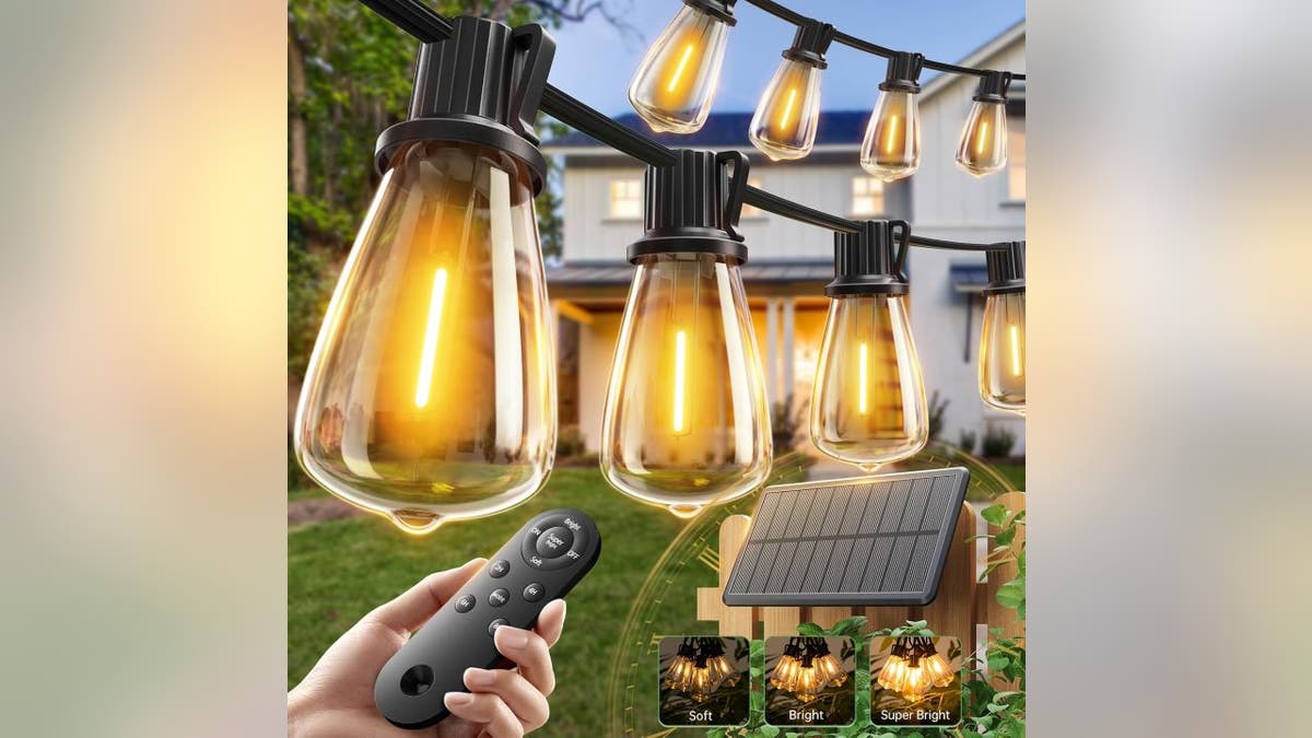 Brighten your backyard with these adjustable lights.