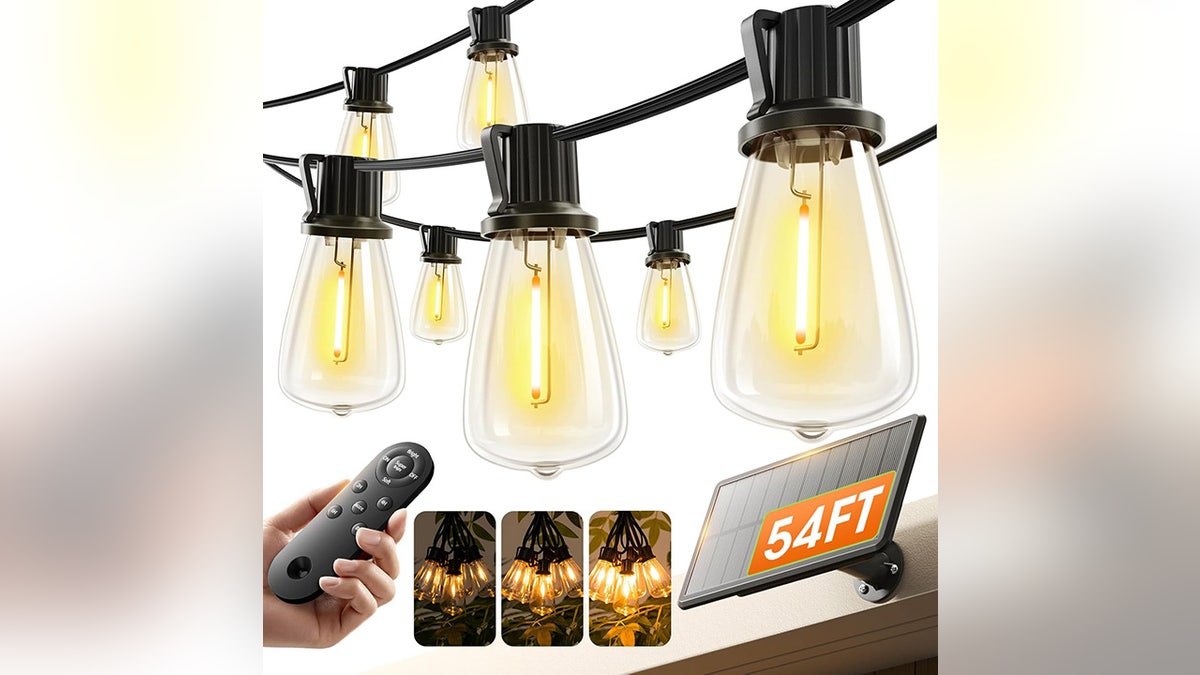 These lights automatically switch on at night.