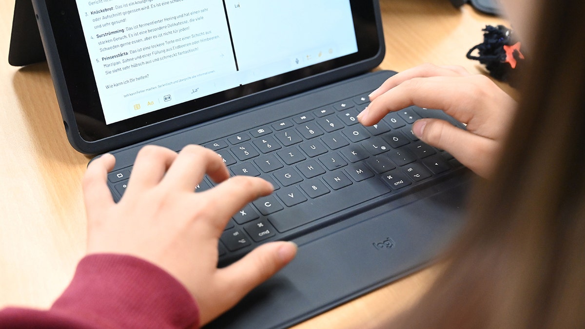 Student using their computer.