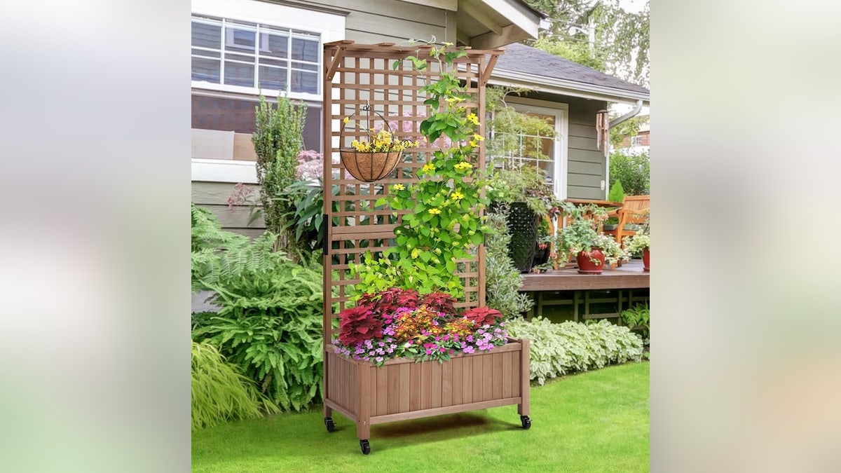 Roll this planter and trellis wherever you need to without straining.