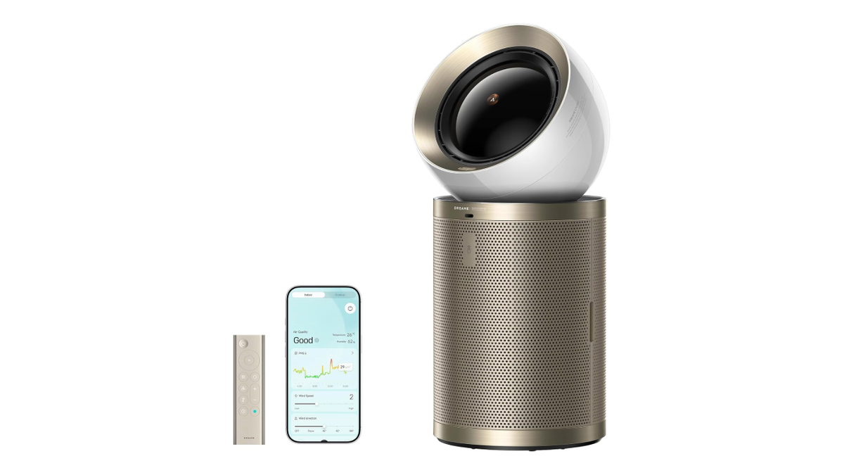 Powered by AI, this purifier works well for large apartments or entire homes.