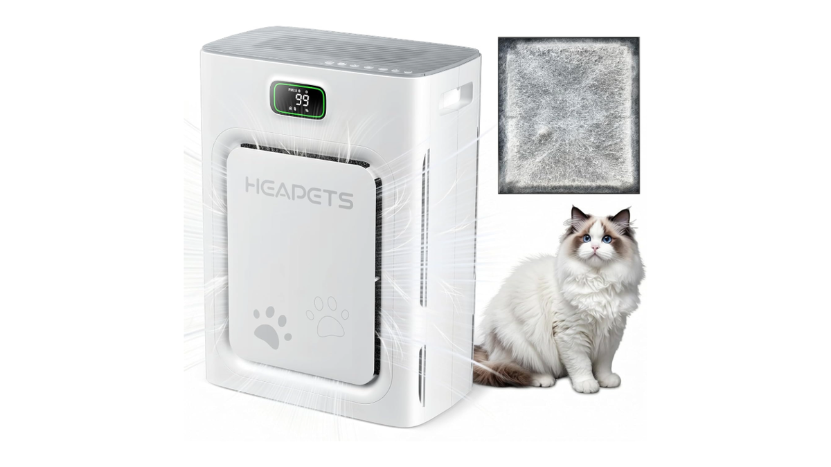 The pet mode on this purifier traps hair and odors.