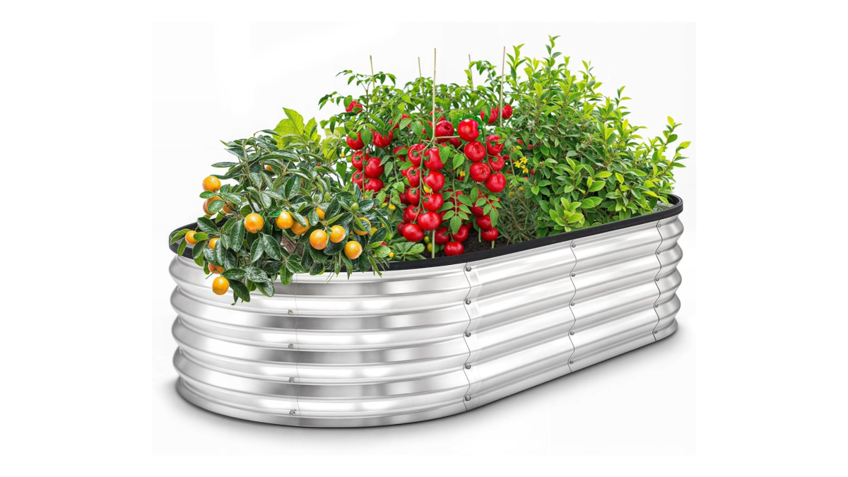 Start a vegetable or herb garden for under $25.