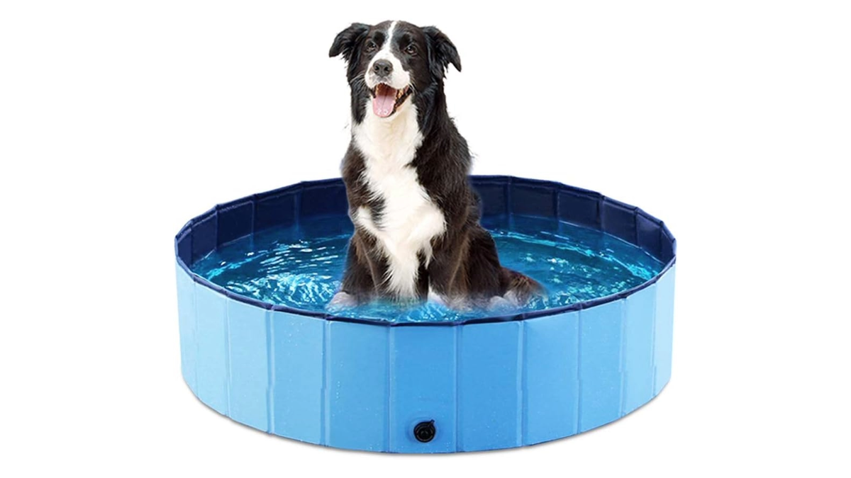 Cool off your pets without dragging out the hose.