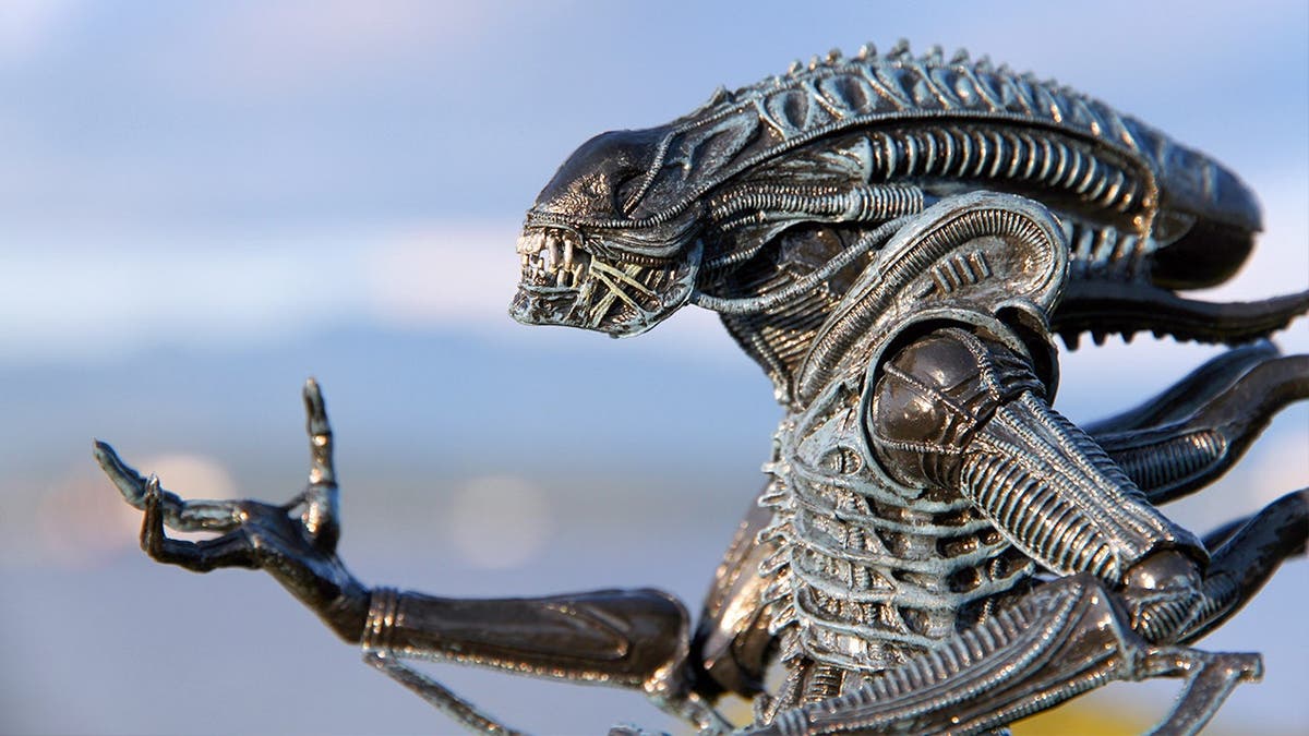Xenomorph
