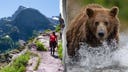 Body of missing hiker discovered off trail as investigators probe rare deadly bear encounter