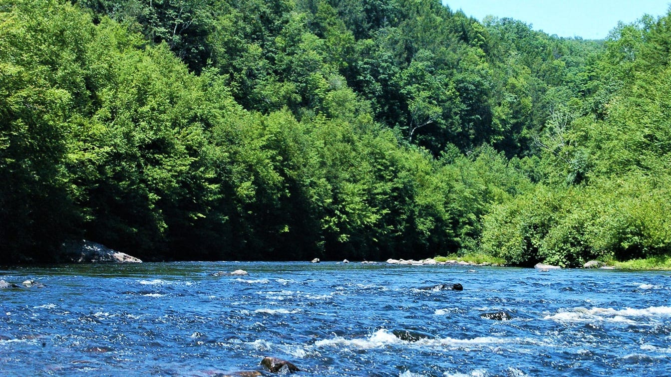 Niño de 12 años muere después de que su balsa vuelca durante un viaje escolar en Pennsylvania.