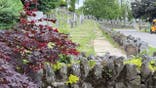 Rows of headstones are pictured in a grassy cemetery with leaves.