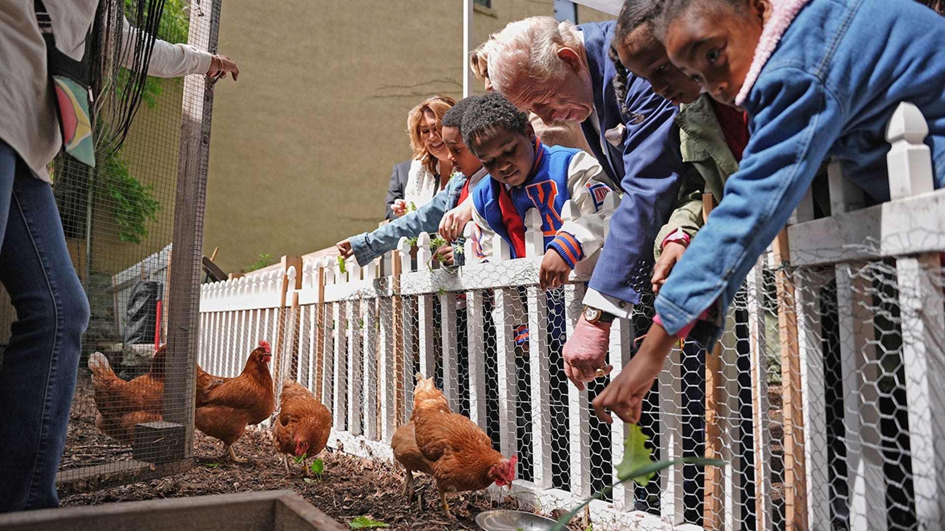 king-charles-chickens.jpg