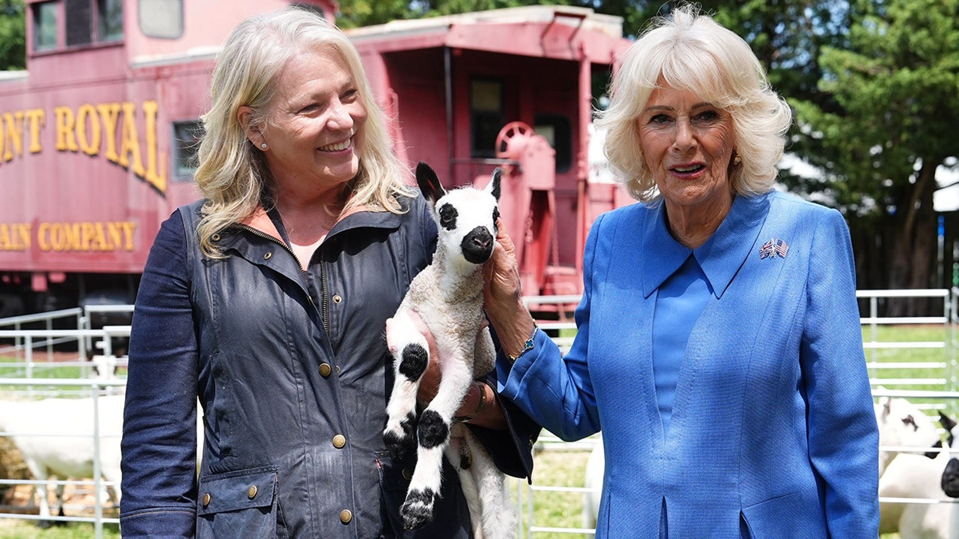 queen-camilla-block-party.jpg