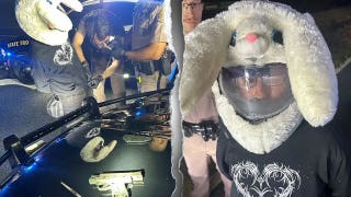 Florida man in bunny helmet allegedly led police on 120 mph chase before surrendering to troopers