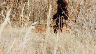 New evidence surfaces in Northeast Ohio Bigfoot flap including alleged tracks and unexplained howls