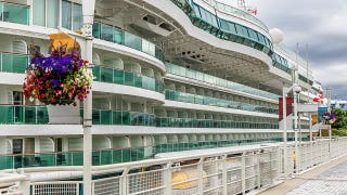 Cruise cabin door decorations spark fierce reaction after one company issues new crackdown at sea