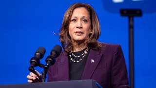 Former Dem megadonor blasts 2024 autopsy as waste of time, says reasons for loss are obvious