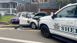Oregon burglary suspect nabbed after crashing SUV during police chase: video