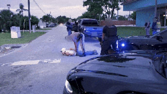 ICE officers arrest alleged MS-13 gang member in Florida operation - Fox News
