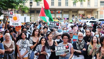 Greta Thunberg's pivot to pro-Palestine rallies exposes broader anti-West network - Fox News
