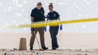 Mother who drowned her three children in the ocean receives prison sentence - Fox News