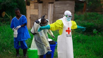 Ebola outbreak in Africa declared a public health emergency after 80 suspected deaths - Fox News