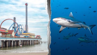 Shark attack turns holiday boating trip into bloody fight for teen’s survival - Fox News
