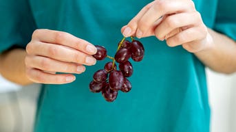 Common fruit rewires cellular defenses against sun exposure, scientists say - Fox News