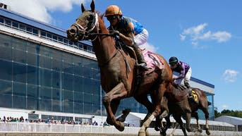 Favorite Hit Zero drops dead after first career race as Laurel Park hosts big event - Fox News