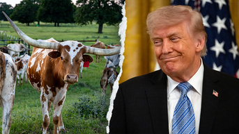 President Trump roasts Texas Dem as unelectable for cardinal sin in Texas - Fox News