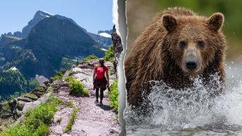 Missing hiker found dead off trail as officials flag suspected bear attack - Fox News