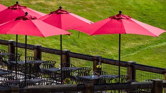 Tragic freak umbrella accident leads to grisly death of diner at lakeside restaurant - Fox News