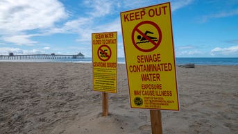 Tsunami of sewage from Mexico barrels toward US coastline, officials warn - Fox News
