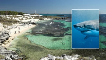 Man killed in attack by 13-foot great white shark near popular tourist island - Fox News