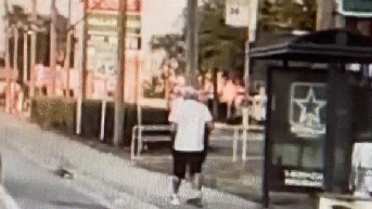 Man who allegedly left grandmother unconscious at bus stop nabbed thanks to community tip - Fox News