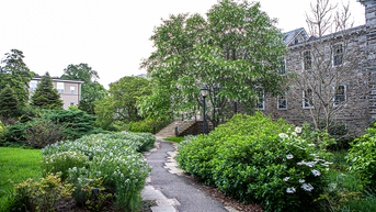 Liberal arts college scrubs professor's name from building over 1899 burial site dig - Fox News