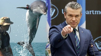 Hegseth shoots down Iran 'kamikaze dolphins' — leaves US question open