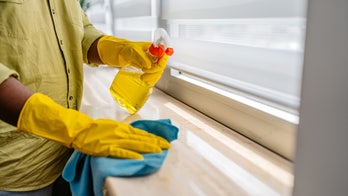 14 Amazon cleaning essentials worth buying right now, starting at $6