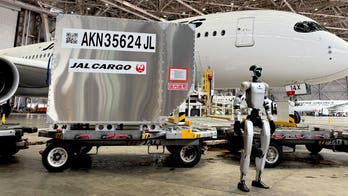 Airport robots handle baggage in Tokyo trial
